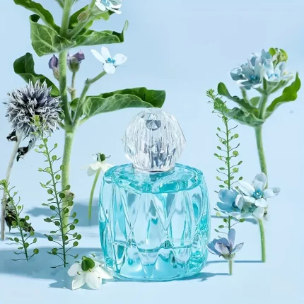 Camellia Water Cream